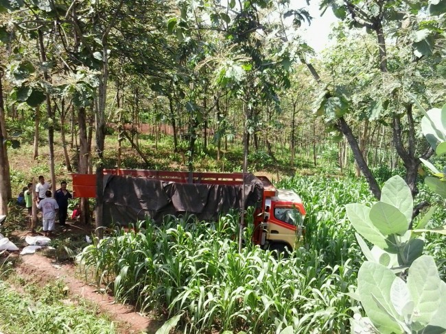  Truk  Ekspedisi  Terperosok Ke Jurang Ngendak Slogohimo 